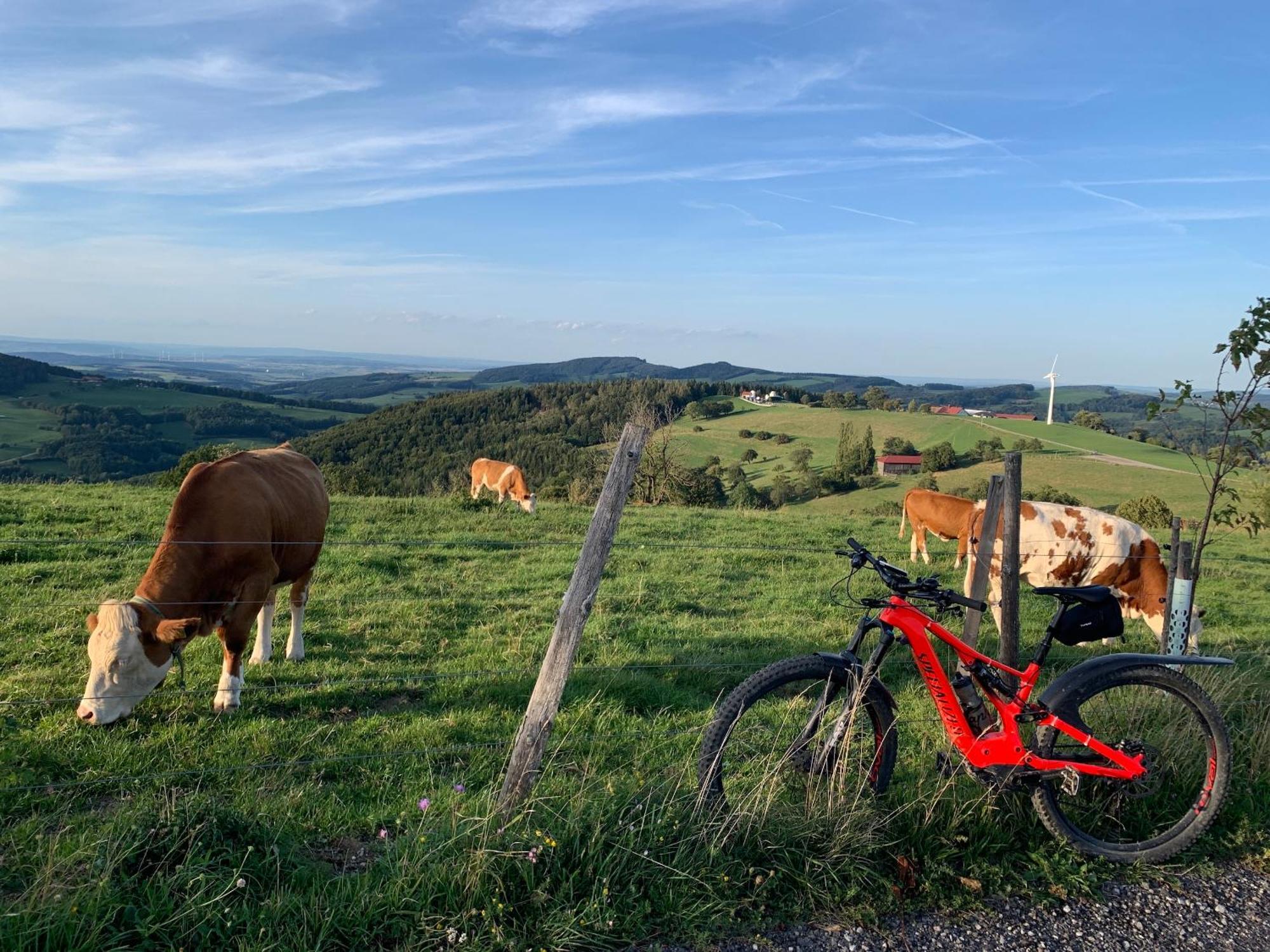 Landgasthof Zur Linde Laaben Dış mekan fotoğraf