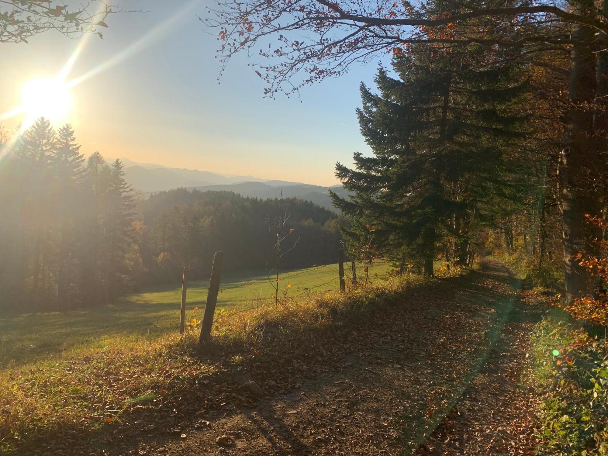Landgasthof Zur Linde Laaben Dış mekan fotoğraf